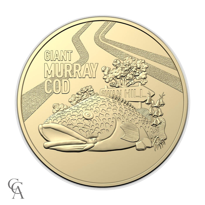 2023 $1 Giant Murray Cod Coloured 2 Coin Limited Edition Postal Numismatic Cover PNC